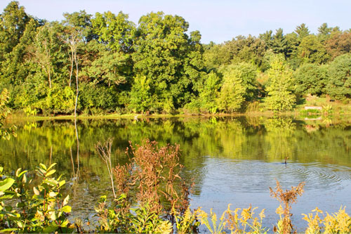 A beautiful spot on campus A beautiful spot on campus