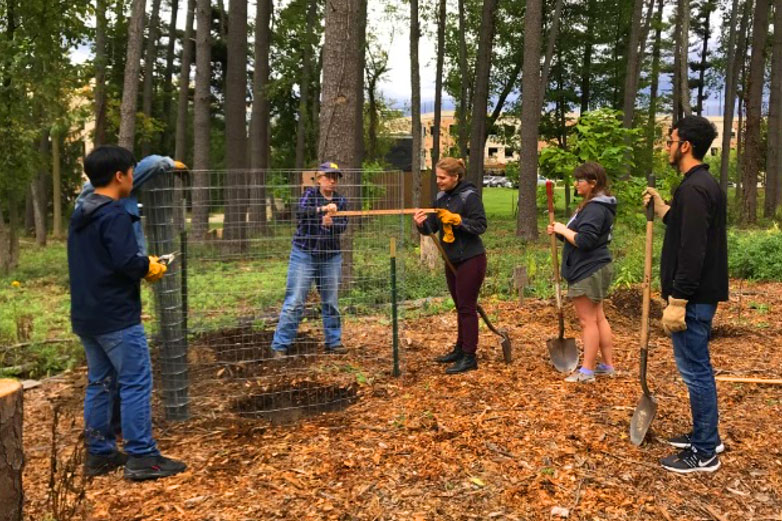 Working in the WCC Student Food Forest Working in the WCC Student Food Forest