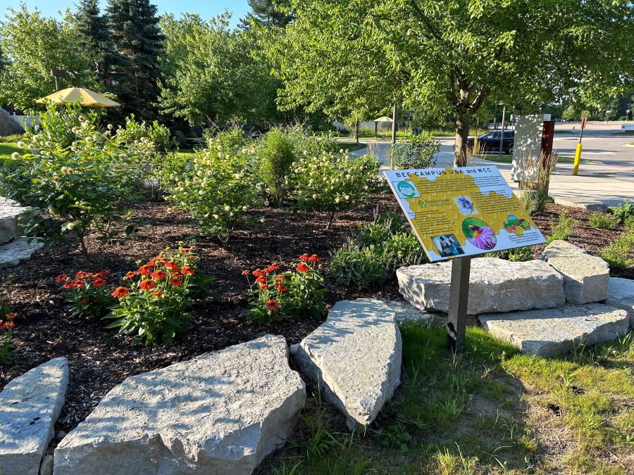 Image of bee garden with plaque.